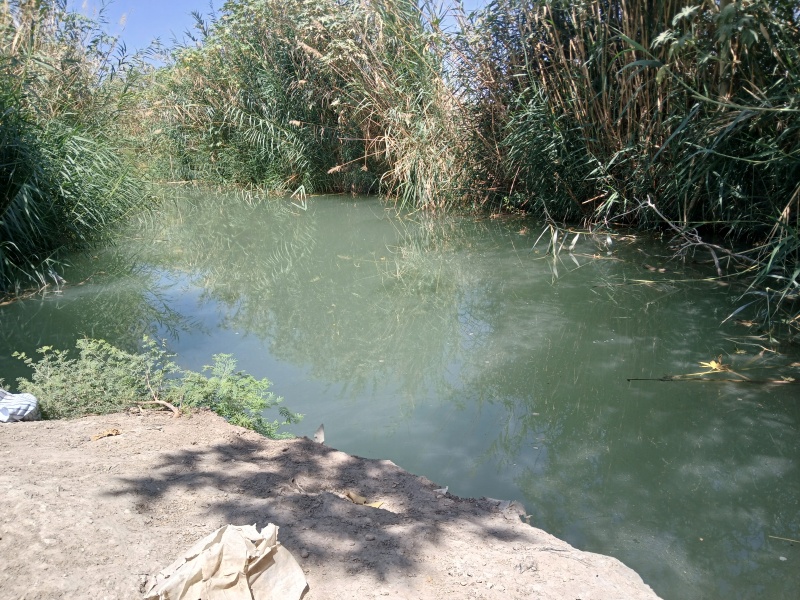 קובץ:2025-08-29T11 38 02.965052662257.jpg