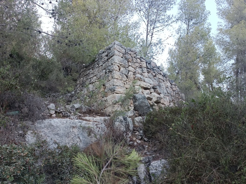 קובץ:2025-08-29T18 39 03.700134167953.jpg