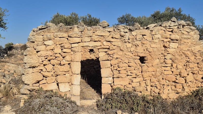 קובץ:2025-08-30T07 59 45.68390937510.jpg