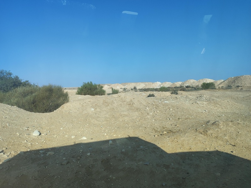 קובץ:2025-08-30T08 00 43.222496961365.jpg
