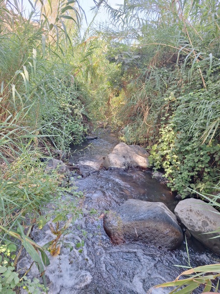 קובץ:2025-08-30T11 21 48.61921348725.jpg