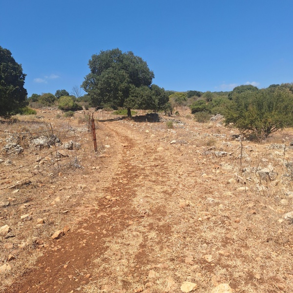 קובץ:2025-08-31T11 17 05.427967425056.jpg