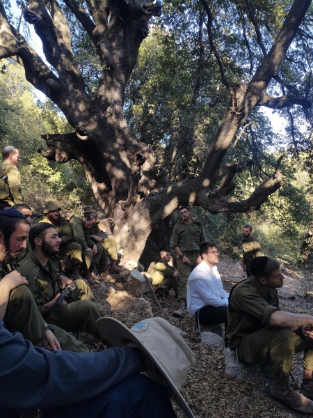 קובץ:2025-08-31T17 20 49.219532896995.jpg
