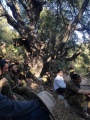 תמונה ממוזערת לגרסה מתאריך 13:59, 31 באוגוסט 2025