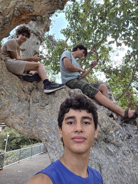 קובץ:2025-09-01T10 35 22.6373459357.jpg