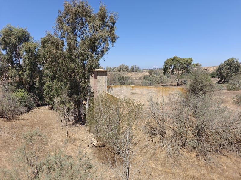 קובץ:2025-09-01T12 10 03.037069405766.jpg