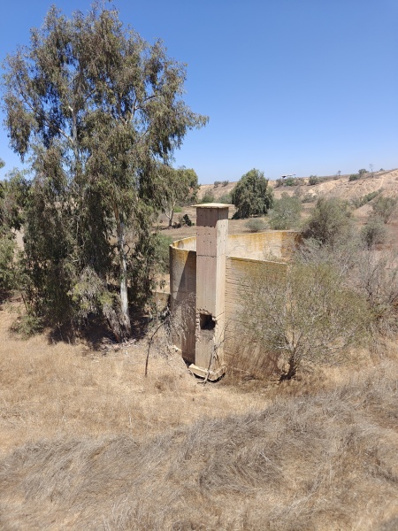 קובץ:2025-09-01T12 10 29.357141537922.jpg