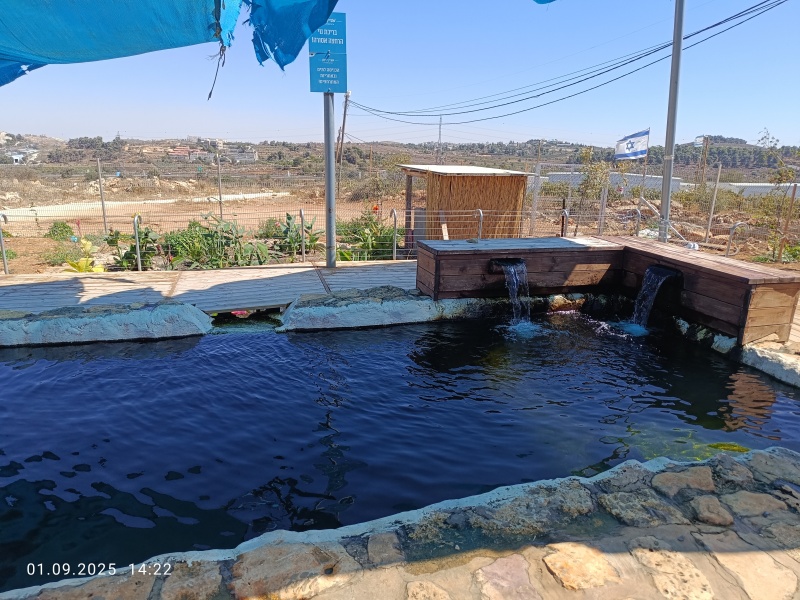 קובץ:2025-09-01T14 22 35.222673407579.jpg