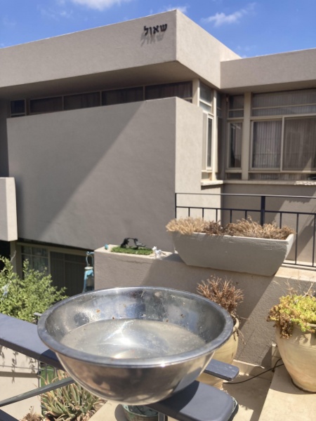 קובץ:2025-09-02T12 00 07.121858341611.jpg