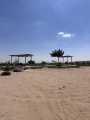 תמונה ממוזערת לגרסה מתאריך 10:34, 2 בספטמבר 2025