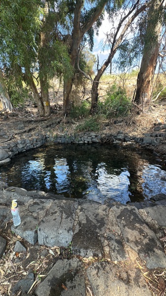 קובץ:2025-09-03T13 16 45.210893622615.jpg