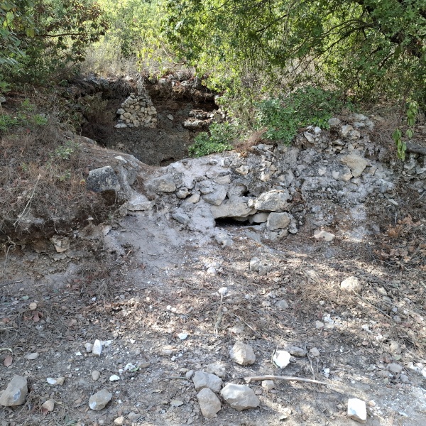 קובץ:2025-09-04T09 53 57.628280889422.jpg