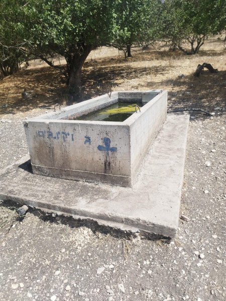 קובץ:2025-09-04T13 48 24.455888765859.jpg
