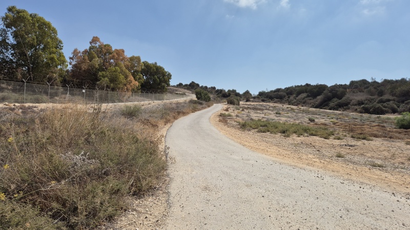 קובץ:2025-09-06T11 26 03.240434180532.jpg