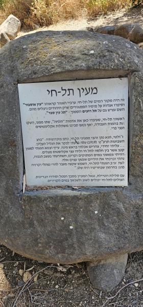 קובץ:2025-09-06T13 54 47.987521211575.jpg