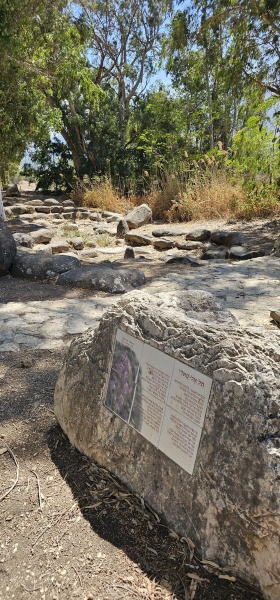 קובץ:2025-09-06T13 55 29.712531580139.jpg