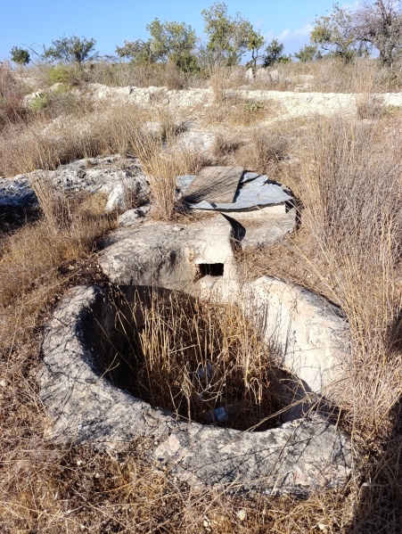 קובץ:2025-10-10T08 53 22.409282420633.jpg