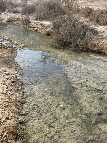 קובץ:2025-11-06T12 53 52.558724894877.jpg