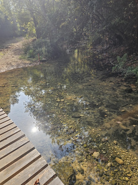 קובץ:2025-11-08T09 53 06.50631757102.jpg