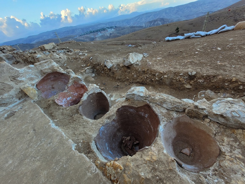 קובץ:2025-11-15T20 53 52.142086938912.jpg