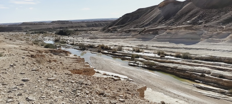 קובץ:2025-12-20T09 53 31.968323838314.jpg