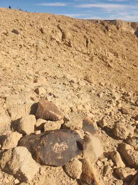 קובץ:2025-12-21T12 53 08.230780894197.jpg