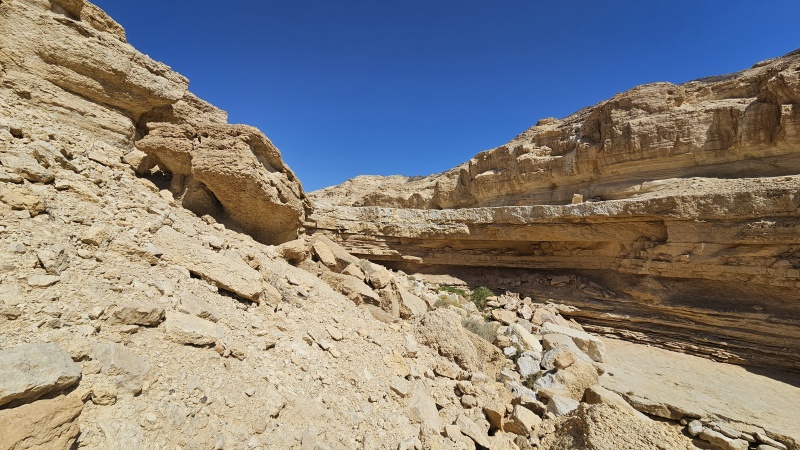 קובץ:20250523 094619.jpg