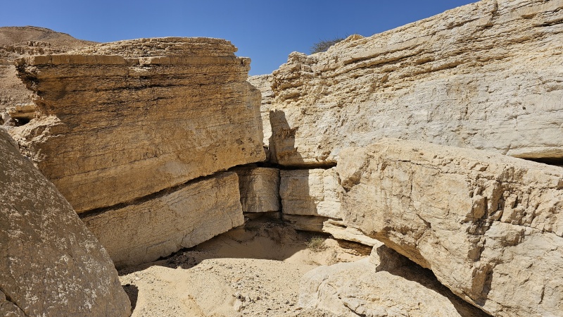 קובץ:20250523 100727.jpg
