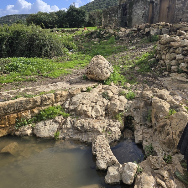 קובץ:2026-01-09T11 53 44.224819400569.jpg