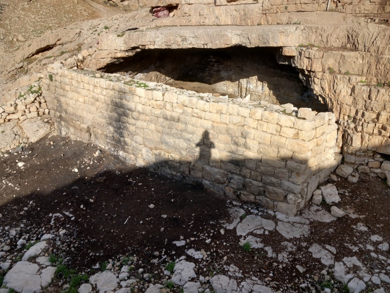 קובץ:2026-01-10T08 53 14.857220350559.jpg