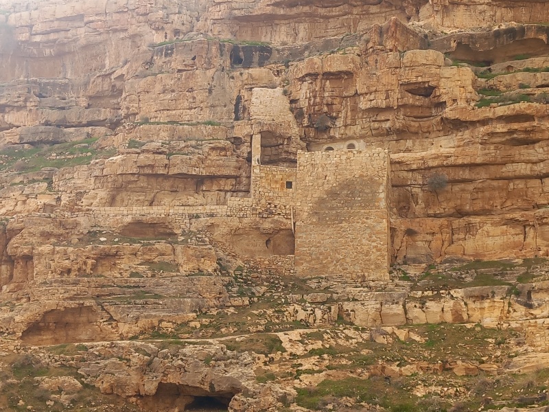 קובץ:2026-01-10T11 37 44.075726317841.jpg