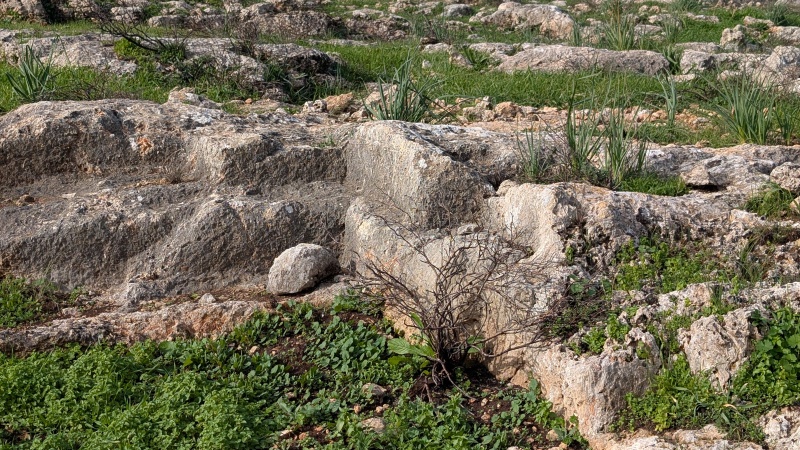 קובץ:2026-01-23T09 53 24.614992316055.jpg