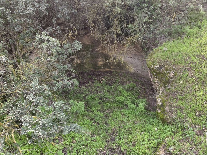 קובץ:2026-01-23T12 53 08.347901622982.jpg