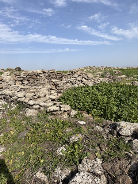 קובץ:2026-01-26T13 43 55.597428242558.jpg