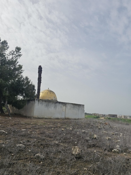 קובץ:2026-01-30T10 53 28.428774643790.jpg