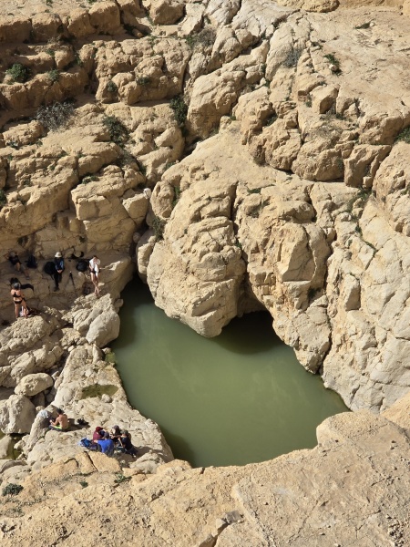 קובץ:2026-02-07T10 53 01.786864776088.jpg