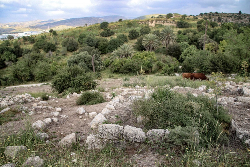 קובץ:3villages (59 of 94).jpg