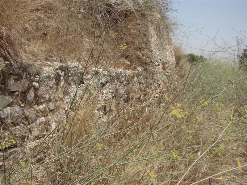 קובץ:A-Luban train line dugout 4 (Large).jpg
