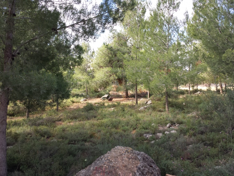 קובץ:Android.2014.05.12.094229.977.jpg