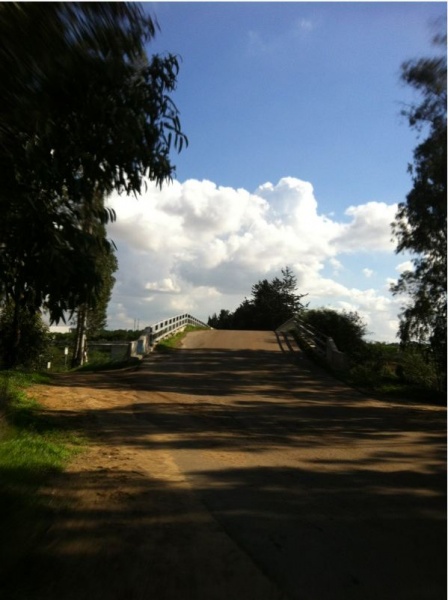 קובץ:Bridge.JPG