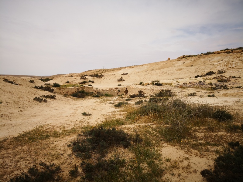 קובץ:Cistern1.jpg