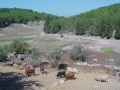 תמונה ממוזערת לגרסה מתאריך 15:34, 27 באוקטובר 2013