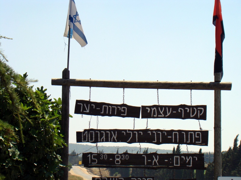 קובץ:DSC05858.JPG