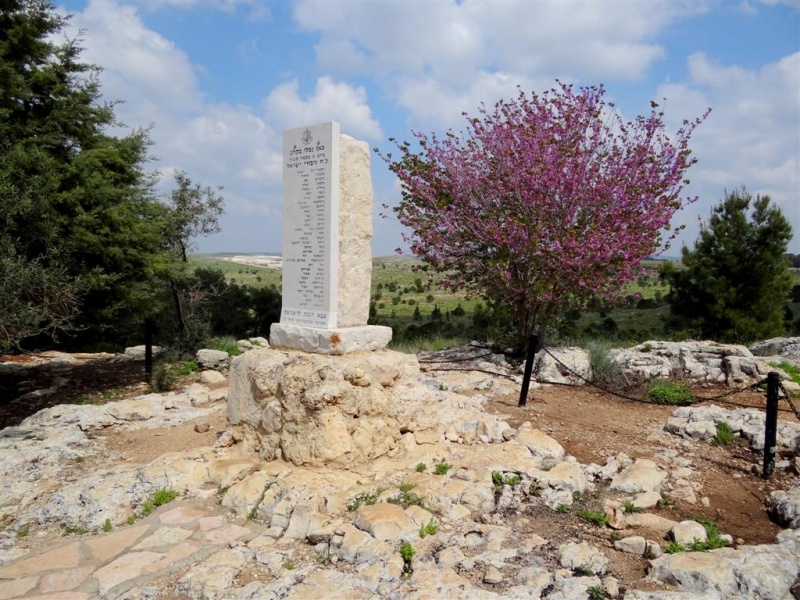 קובץ:DSC08434 (Large).JPG