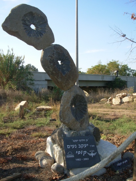 קובץ:DSCN0273.JPG