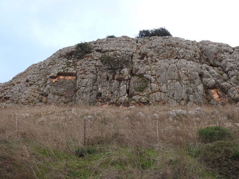 קובץ:DSCN5304.JPG