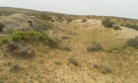 Dugout of the western train branch to Bir Asluj 1.jpg