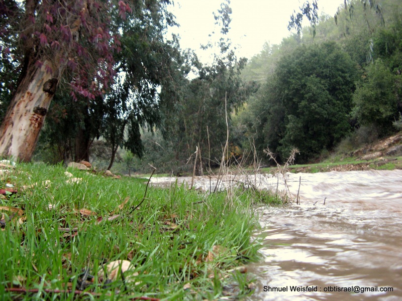 קובץ:Emeckrefaimflood3.JPG