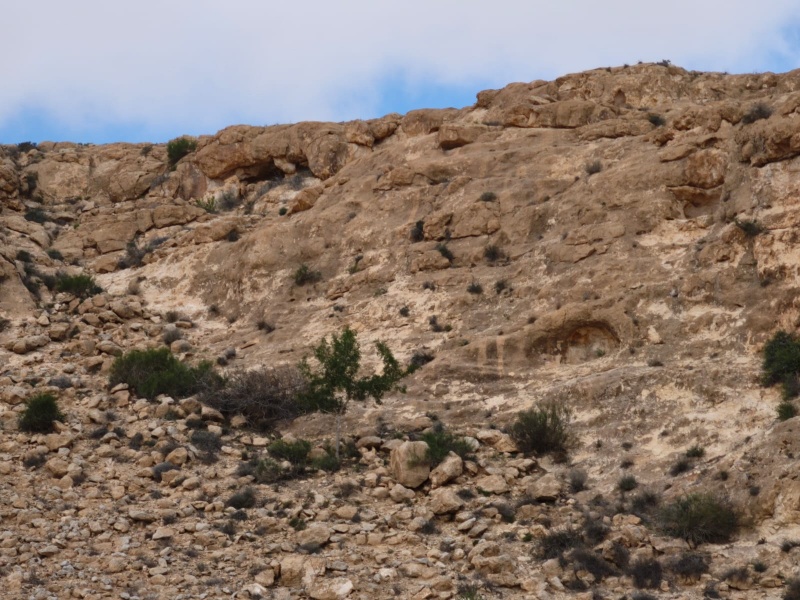 קובץ:IMG-20250417-WA0036.jpg