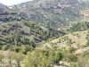 IMG-20250426-WA0010.jpg